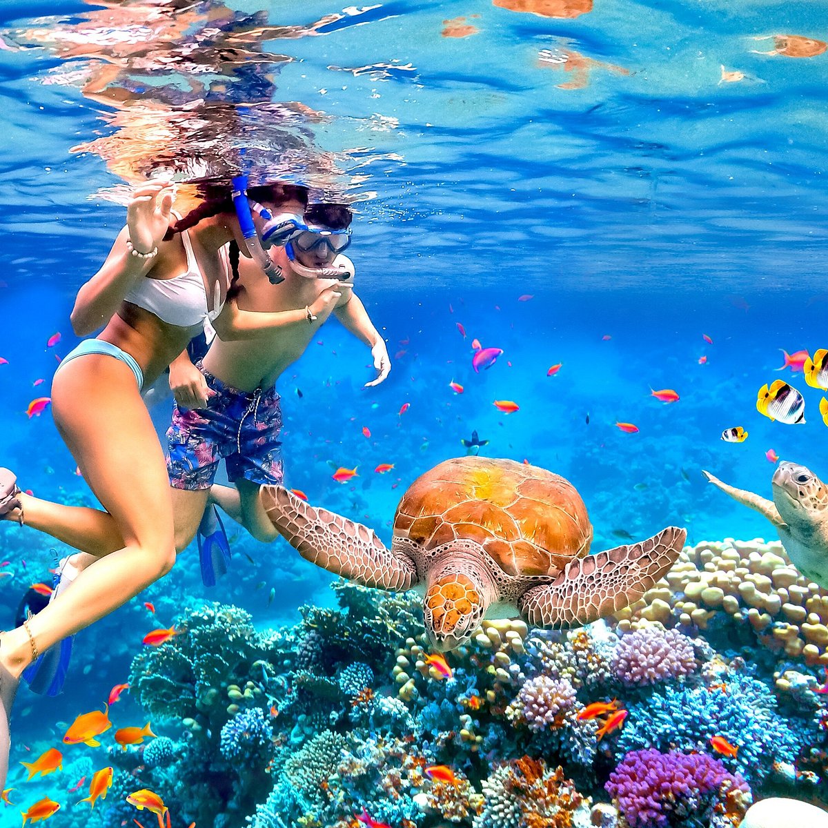 scuba diving in goa